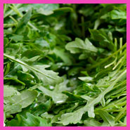 Rucola